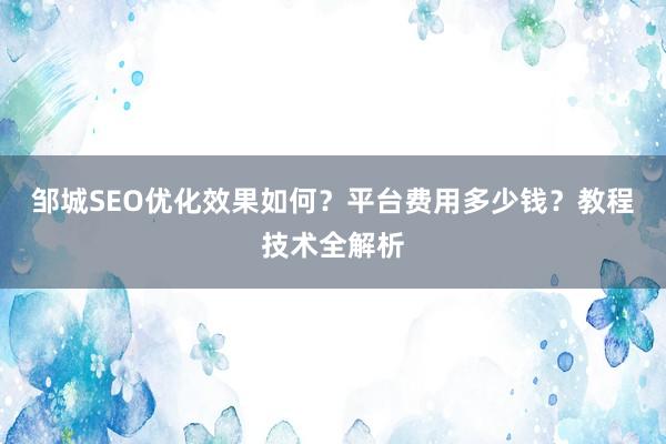 邹城SEO优化效果如何？平台费用多少钱？教程技术全解析