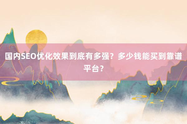 国内SEO优化效果到底有多强？多少钱能买到靠谱平台？