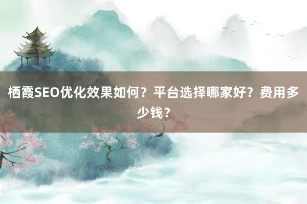 栖霞SEO优化效果如何？平台选择哪家好？费用多少钱？