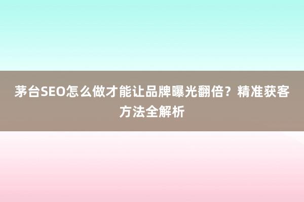 茅台SEO怎么做才能让品牌曝光翻倍？精准获客方法全解析