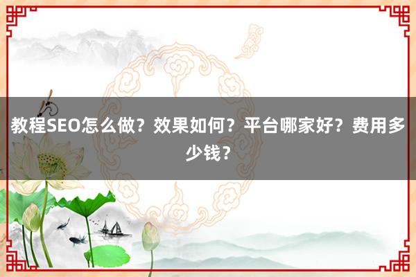 教程SEO怎么做？效果如何？平台哪家好？费用多少钱？