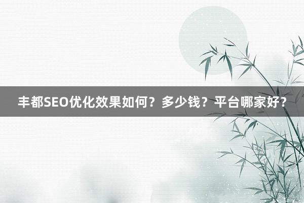 丰都SEO优化效果如何？多少钱？平台哪家好？
