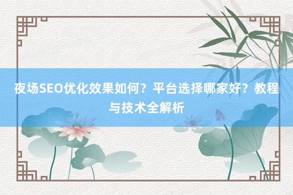 夜场SEO优化效果如何？平台选择哪家好？教程与技术全解析