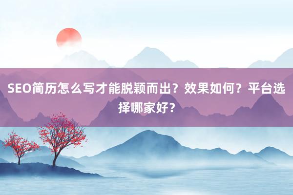 SEO简历怎么写才能脱颖而出?效果如何?平台选择哪家好?