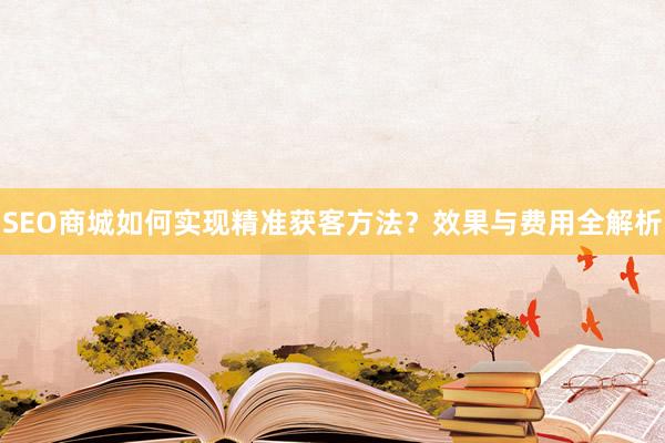 SEO商城如何实现精准获客方法?效果与费用全解析