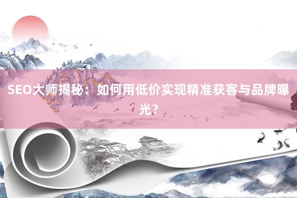 SEO大师揭秘:如何用低价实现精准获客与品牌曝光?
