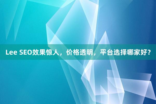 Lee SEO效果惊人，价格透明，平台选择哪家好？
