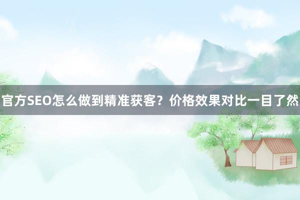 官方SEO怎么做到精准获客？价格效果对比一目了然