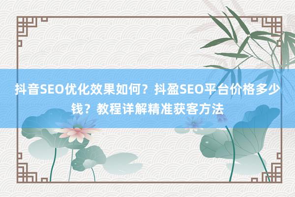 抖音SEO优化效果如何？抖盈SEO平台价格多少钱？教程详解精准获客方法