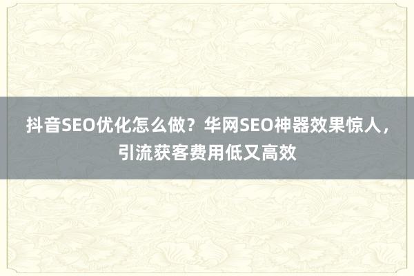 抖音SEO优化怎么做？华网SEO神器效果惊人，引流获客费用低又高效