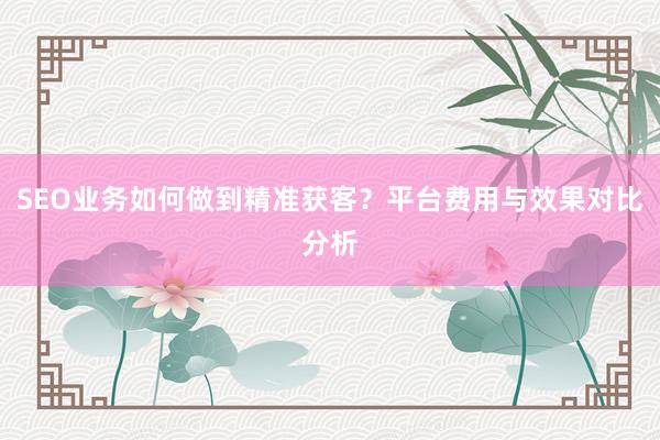 SEO业务如何做到精准获客？平台费用与效果对比分析