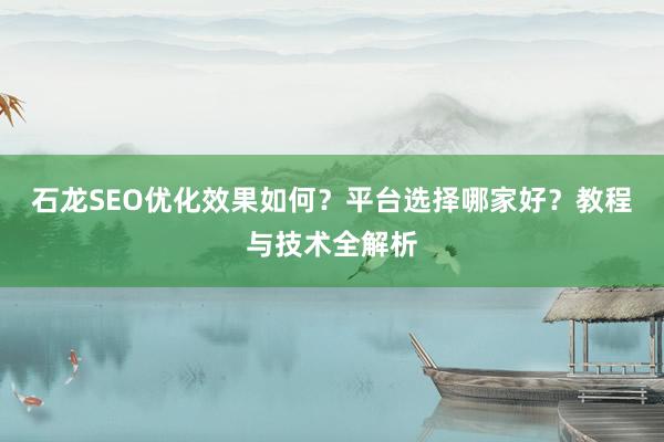 石龙SEO优化效果如何？平台选择哪家好？教程与技术全解析