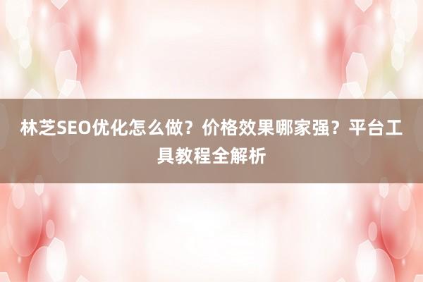林芝SEO优化怎么做？价格效果哪家强？平台工具教程全解析