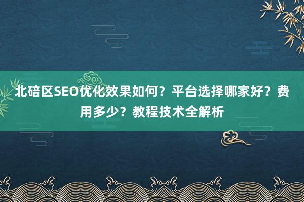 北碚区SEO优化效果如何？平台选择哪家好？费用多少？教程技术全解析