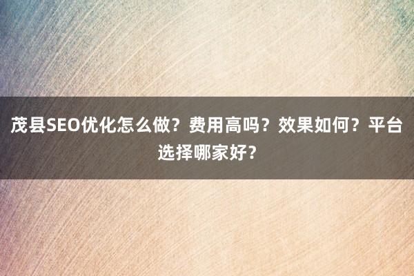 茂县SEO优化怎么做？费用高吗？效果如何？平台选择哪家好？