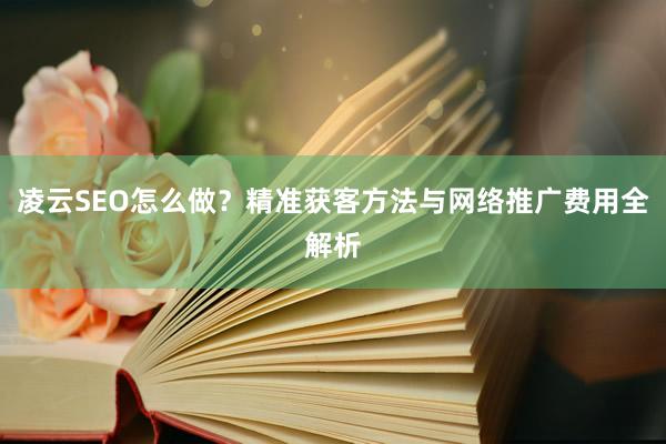 凌云SEO怎么做？精准获客方法与网络推广费用全解析
