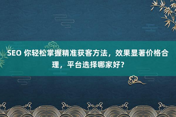 SEO 你轻松掌握精准获客方法，效果显著价格合理，平台选择哪家好？