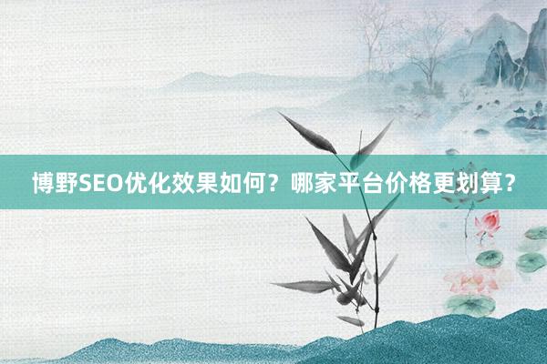 博野SEO优化效果如何？哪家平台价格更划算？
