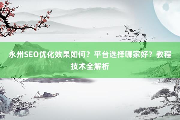 永州SEO优化效果如何?平台选择哪家好?教程技术全解析