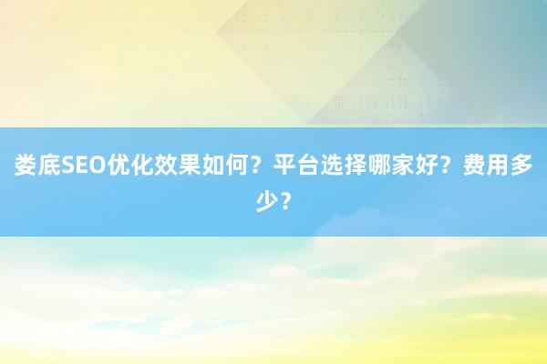 娄底SEO优化效果如何？平台选择哪家好？费用多少？