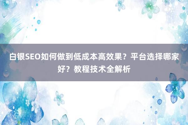 白银SEO如何做到低成本高效果？平台选择哪家好？教程技术全解析