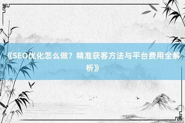 《SEO优化怎么做？精准获客方法与平台费用全解析》