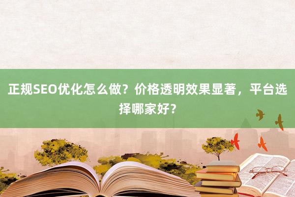 正规SEO优化怎么做？价格透明效果显著，平台选择哪家好？