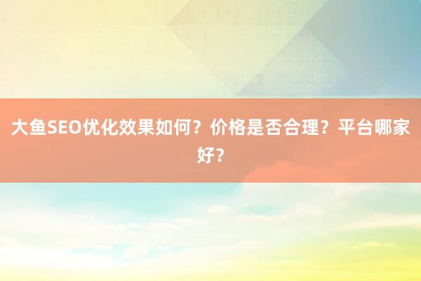 大鱼SEO优化效果如何？价格是否合理？平台哪家好？