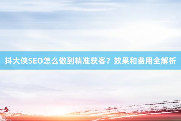 抖大侠SEO怎么做到精准获客？效果和费用全解析