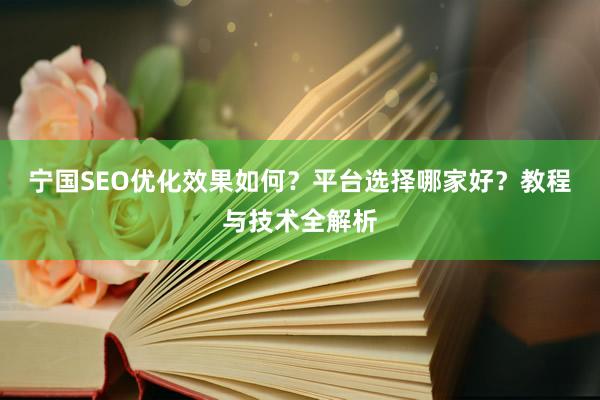 宁国SEO优化效果如何？平台选择哪家好？教程与技术全解析