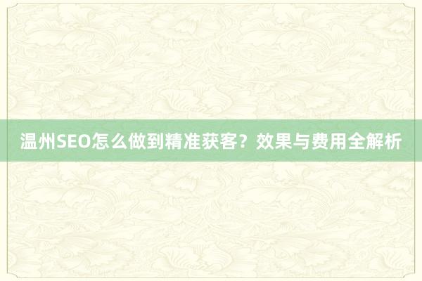温州SEO怎么做到精准获客？效果与费用全解析