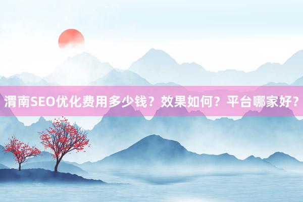 渭南SEO优化费用多少钱?效果如何?平台哪家好?