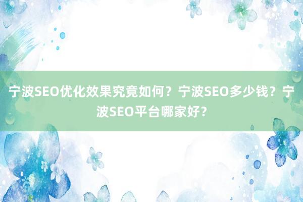 宁波SEO优化效果究竟如何?宁波SEO多少钱?宁波SEO平台哪家好?