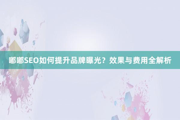 嘟嘟SEO如何提升品牌曝光?效果与费用全解析