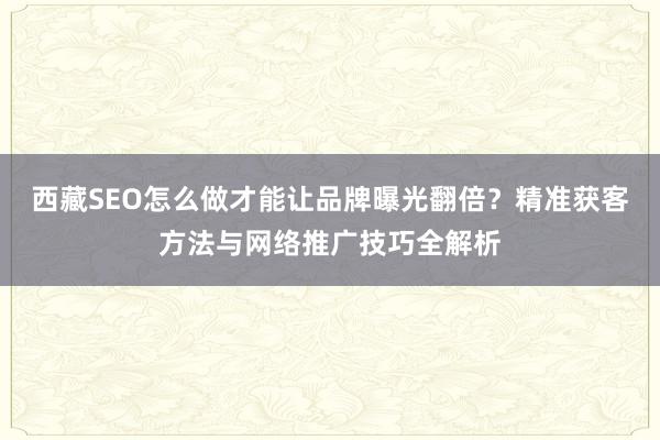 西藏SEO怎么做才能让品牌曝光翻倍？精准获客方法与网络推广技巧全解析