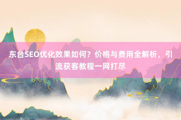 东台SEO优化效果如何?价格与费用全解析,引流获客教程一网打尽