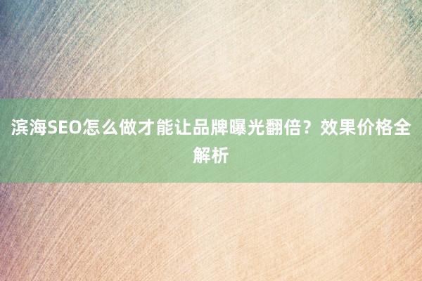 滨海SEO怎么做才能让品牌曝光翻倍?效果价格全解析