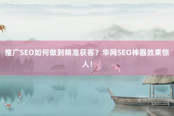 推广SEO如何做到精准获客？华网SEO神器效果惊人！