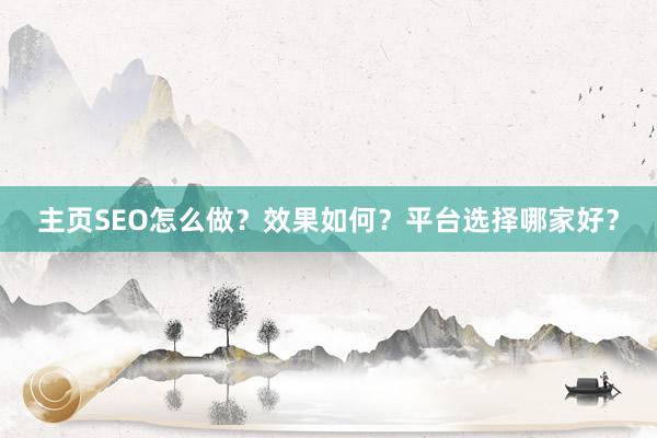 主页SEO怎么做？效果如何？平台选择哪家好？