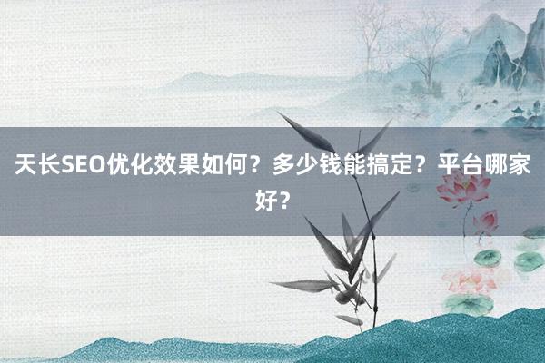 天长SEO优化效果如何？多少钱能搞定？平台哪家好？