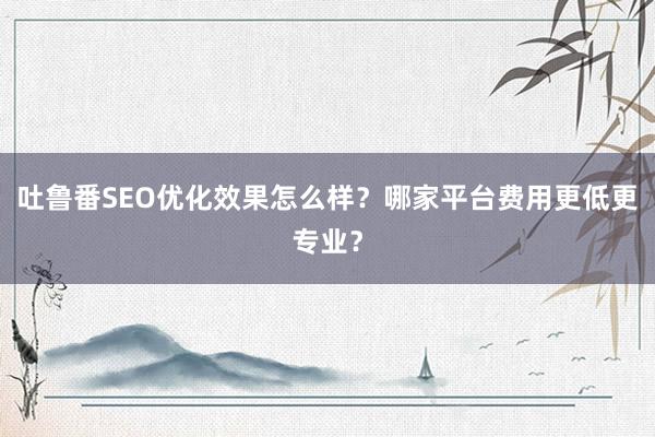 吐鲁番SEO优化效果怎么样？哪家平台费用更低更专业？