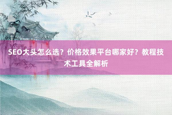 SEO大头怎么选？价格效果平台哪家好？教程技术工具全解析