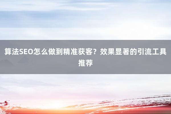 算法SEO怎么做到精准获客？效果显著的引流工具推荐