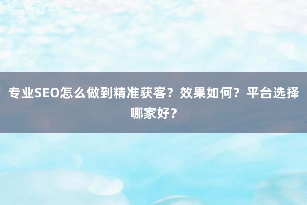 专业SEO怎么做到精准获客？效果如何？平台选择哪家好？