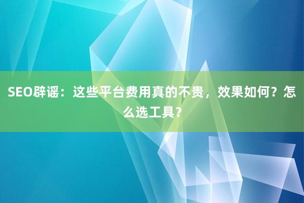 SEO辟谣：这些平台费用真的不贵，效果如何？怎么选工具？