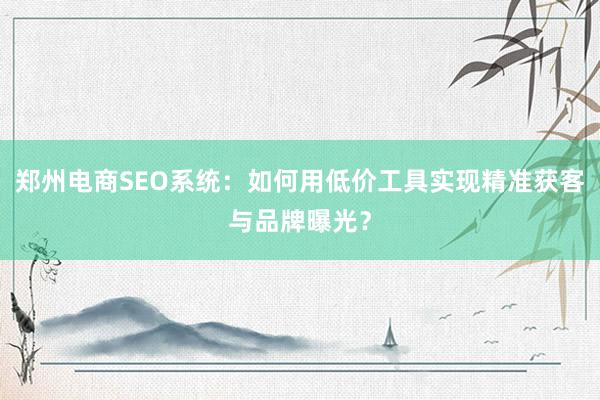 郑州电商SEO系统：如何用低价工具实现精准获客与品牌曝光？