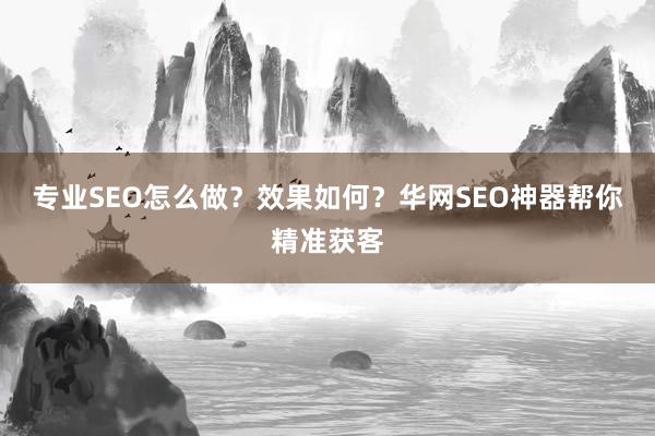 专业SEO怎么做？效果如何？华网SEO神器帮你精准获客