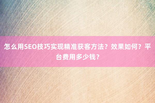 怎么用SEO技巧实现精准获客方法？效果如何？平台费用多少钱？