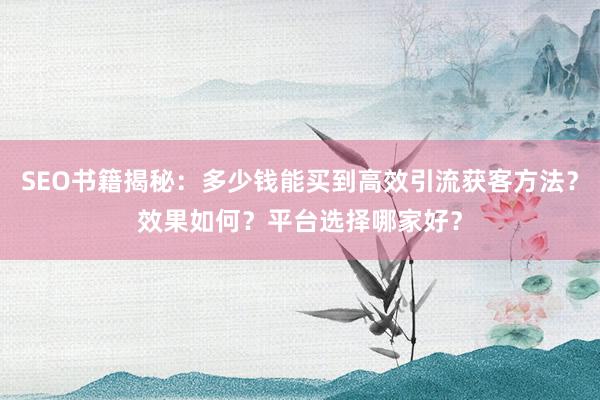 SEO书籍揭秘：多少钱能买到高效引流获客方法？效果如何？平台选择哪家好？