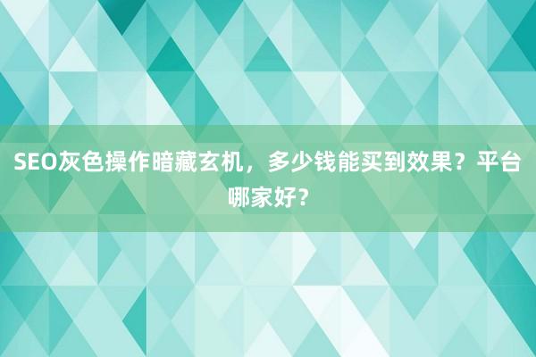 SEO灰色操作暗藏玄机，多少钱能买到效果？平台哪家好？
